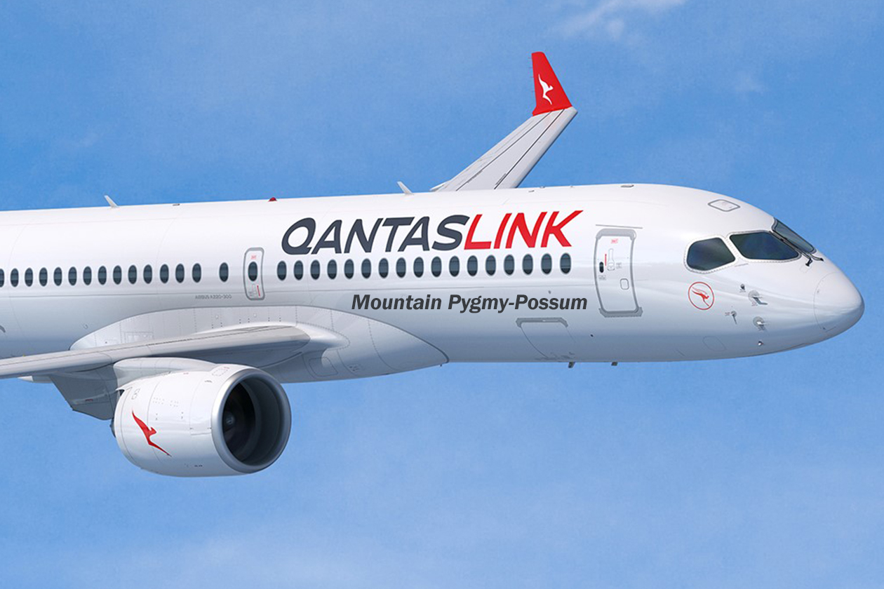 Qantas Group takes delivery of its first A220