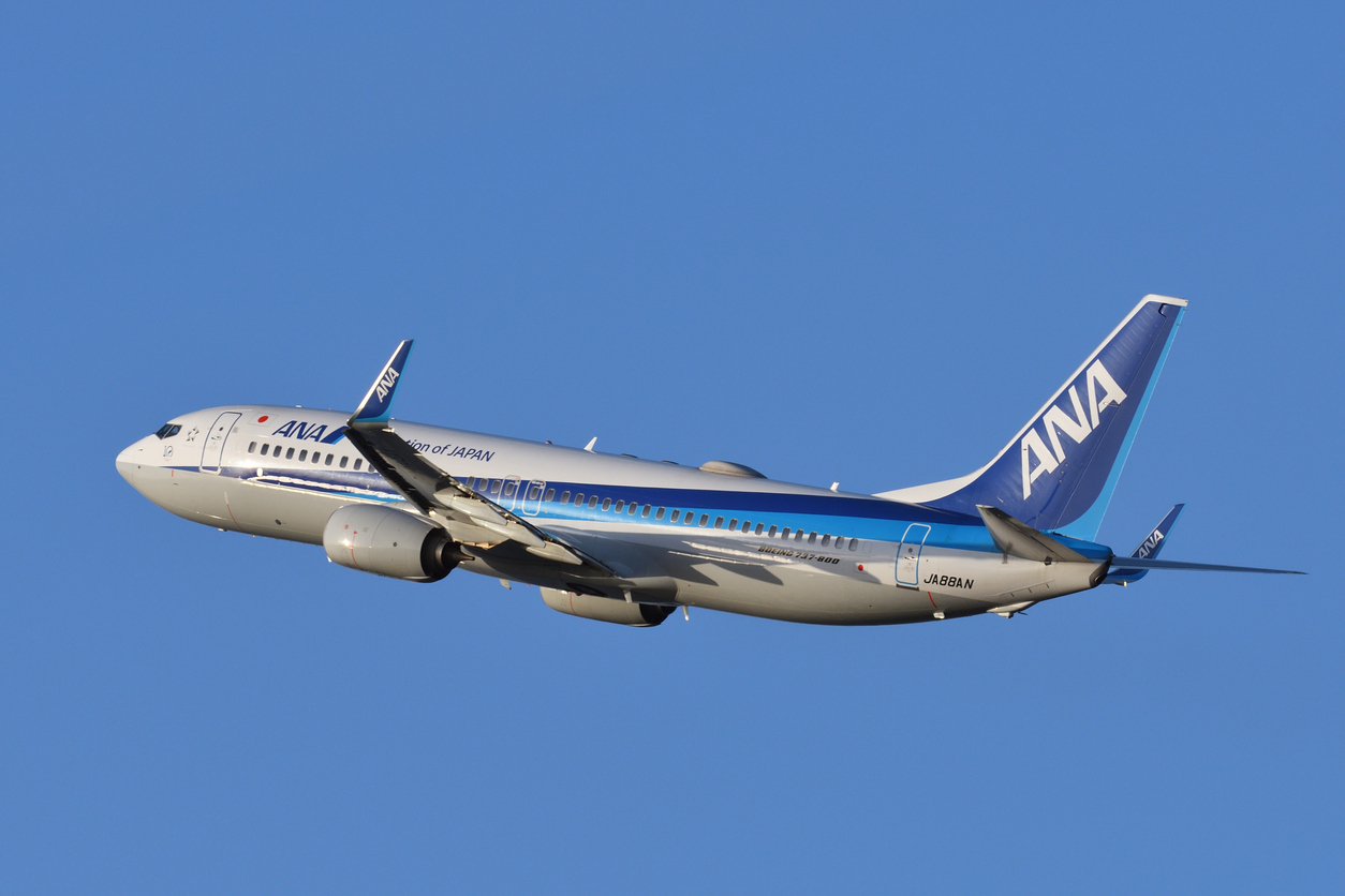 ANA Boeing 737-800 turns around after crack discovered on window 