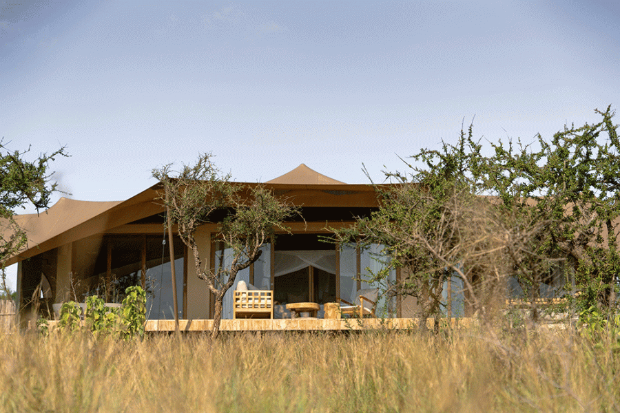 ENVI Sisini Serengeti Executive Suite